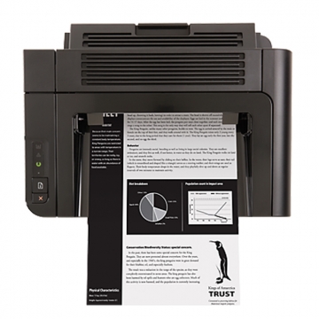 HP (Hewlett Packard) LaserJet Pro  P1606dn Mono Lazer Yazıcı (CE749A)