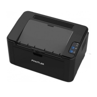 PANTUM P2500 Mono Lazer Yazıcı